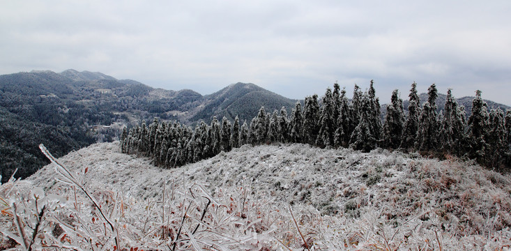 雪景