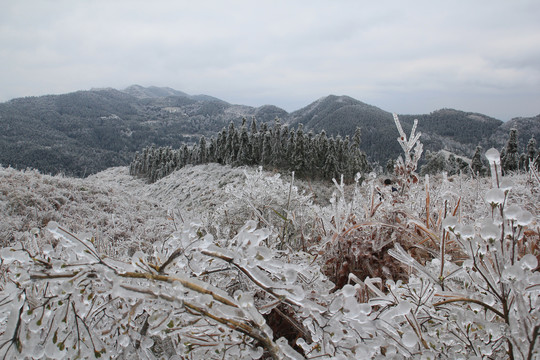 雪景