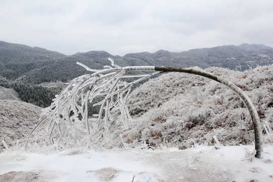 雪景