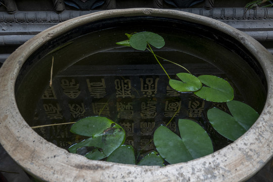 水缸