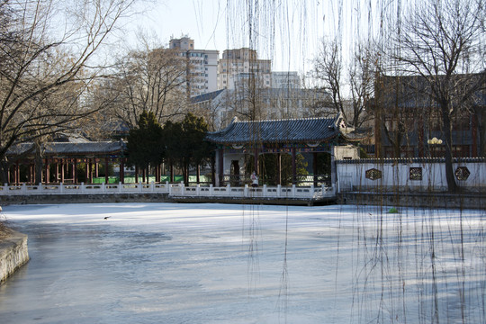 城市中的园林风景