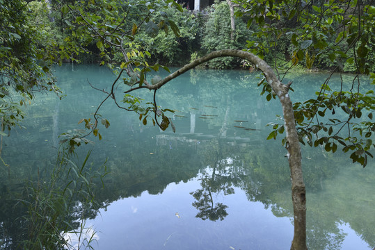 小七孔风景