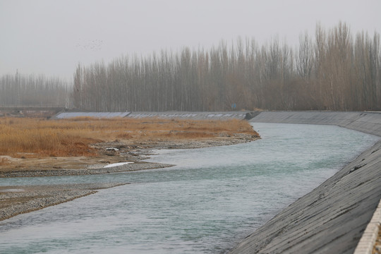 湿地生态美景