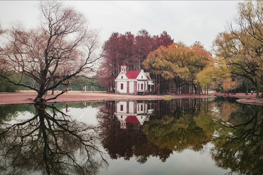 森林水景