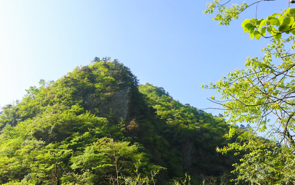 绿树青山