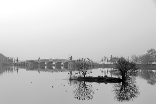 东湖飞鸟