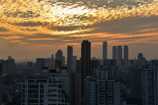 厦门城市建筑黄昏景观