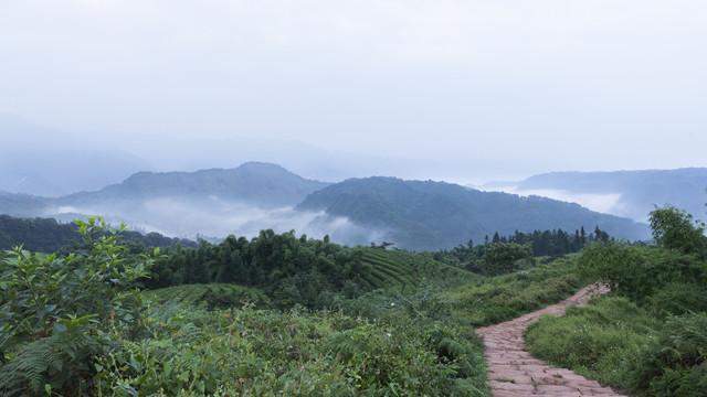 高山沟壑云雾缭绕自然风光