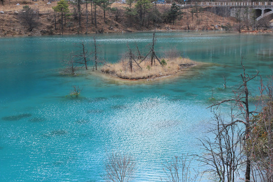 碧水环丽江