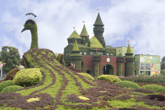 绿植雕塑城堡和孔雀