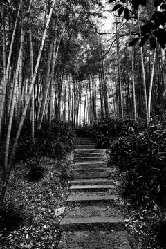 苏州虎丘
