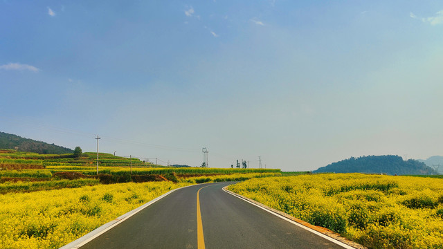 油菜花公路