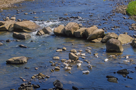 小溪流水石头鸭子