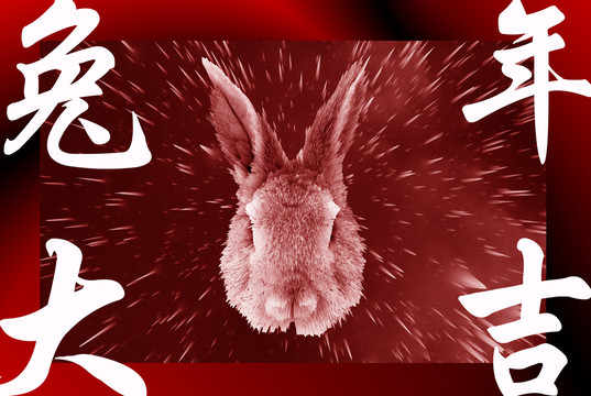 十二生肖兔子海报