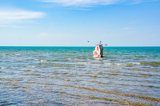 青海湖风景