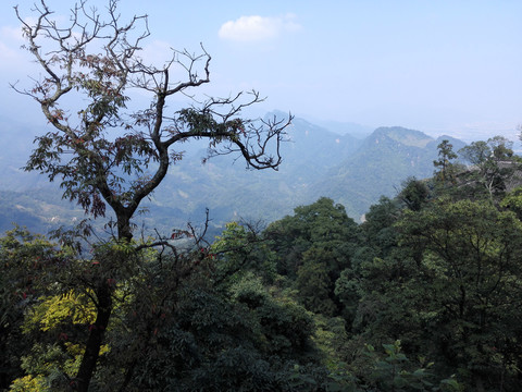 青城山风景