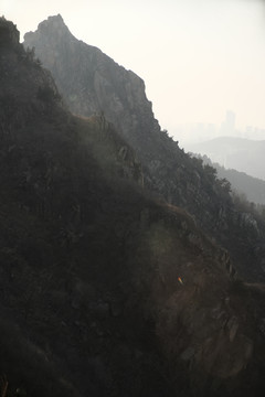 青岛浮山风光