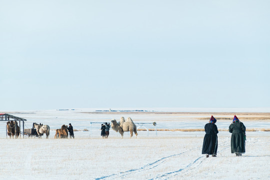 冬季草原蒙古族生活