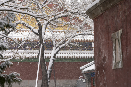 颐和园雪景