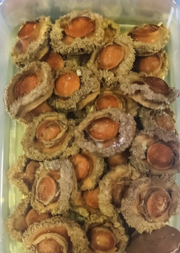 发制好的南非鲍