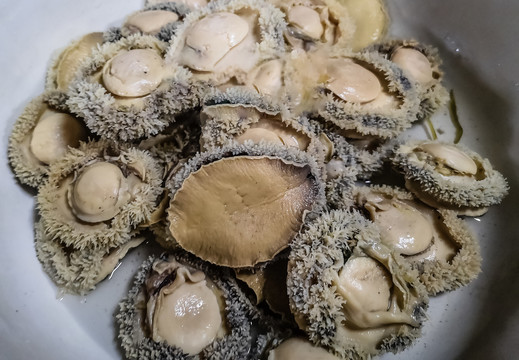 发制中的南非鲍