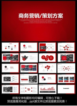 商务营销策划方案ppt