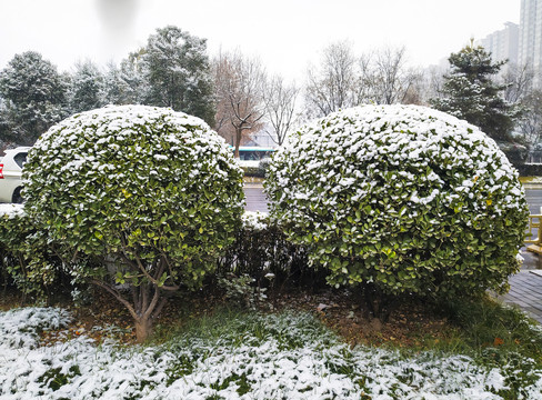 雪景