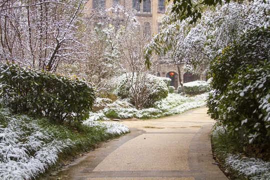 住宅区雪景