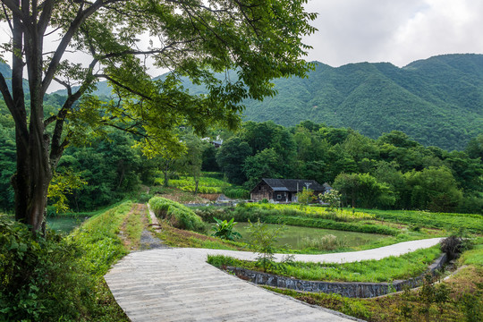 山村美景