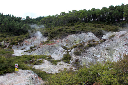 罗托鲁阿泥火山