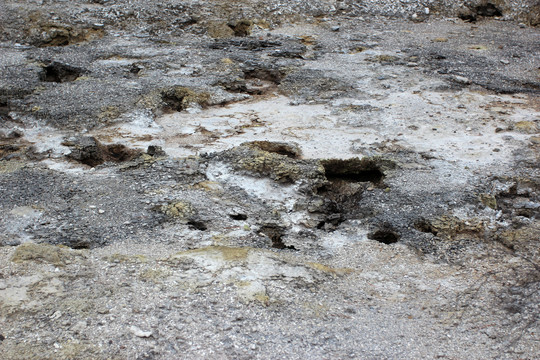 罗托鲁阿泥火山