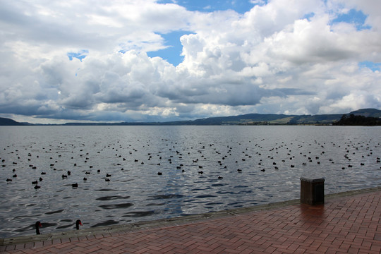 鸭子湖