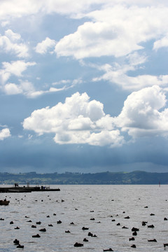 鸭子湖