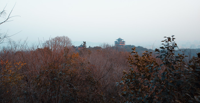 吴山城隍阁