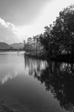 黑白风景