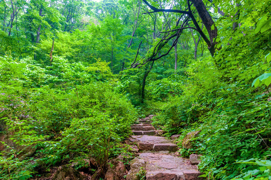 中国辽宁鞍山千山仙人台