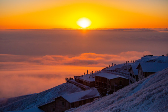 武功山雪景雾凇树挂云海