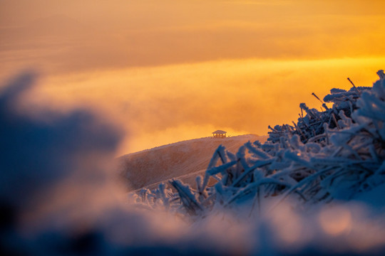 武功山雪景雾凇树挂云海日出