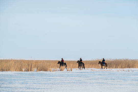 冰面芦苇荡骑马蒙古人