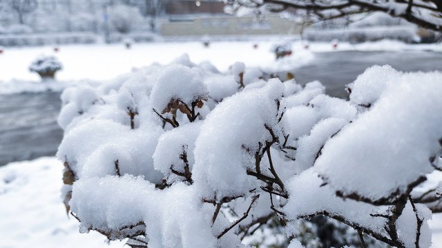 冬日白雪