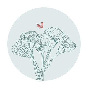 花卉线描