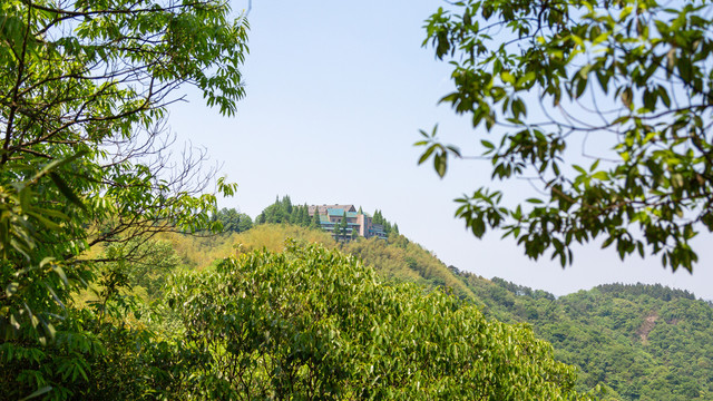 杭州莫干山风景区