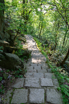 林间小路