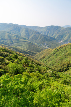 杭州莫干山风景区