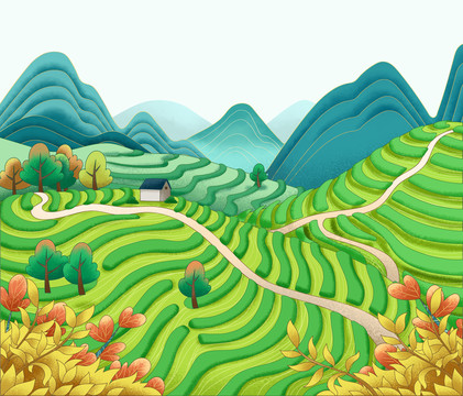 梯田茶叶风景包装插画