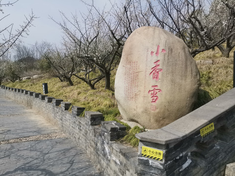 小香雪