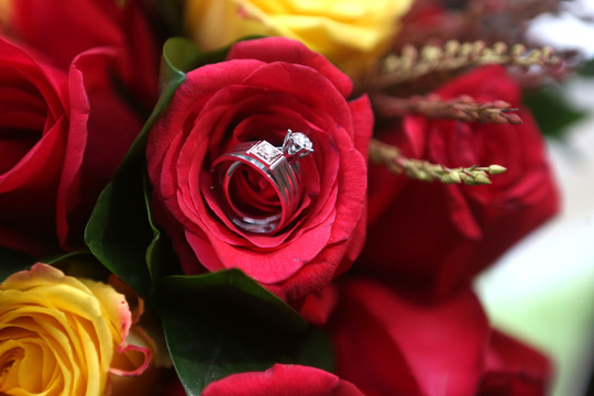 玫瑰花里的戒指