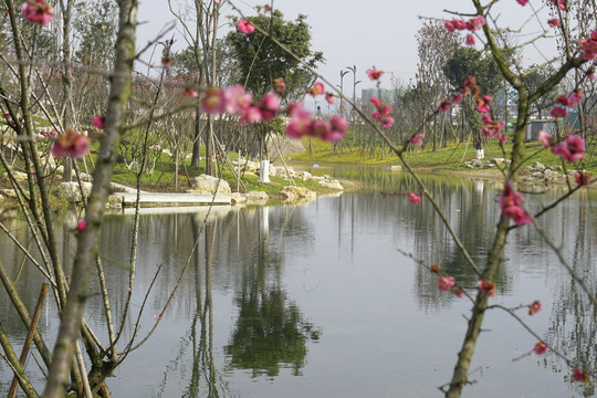成都东安湖水景园林