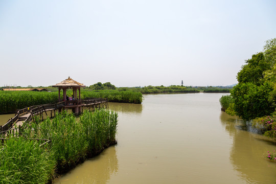 河道河流河滩