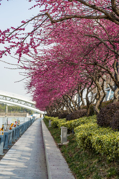 南太湖旅游度假区